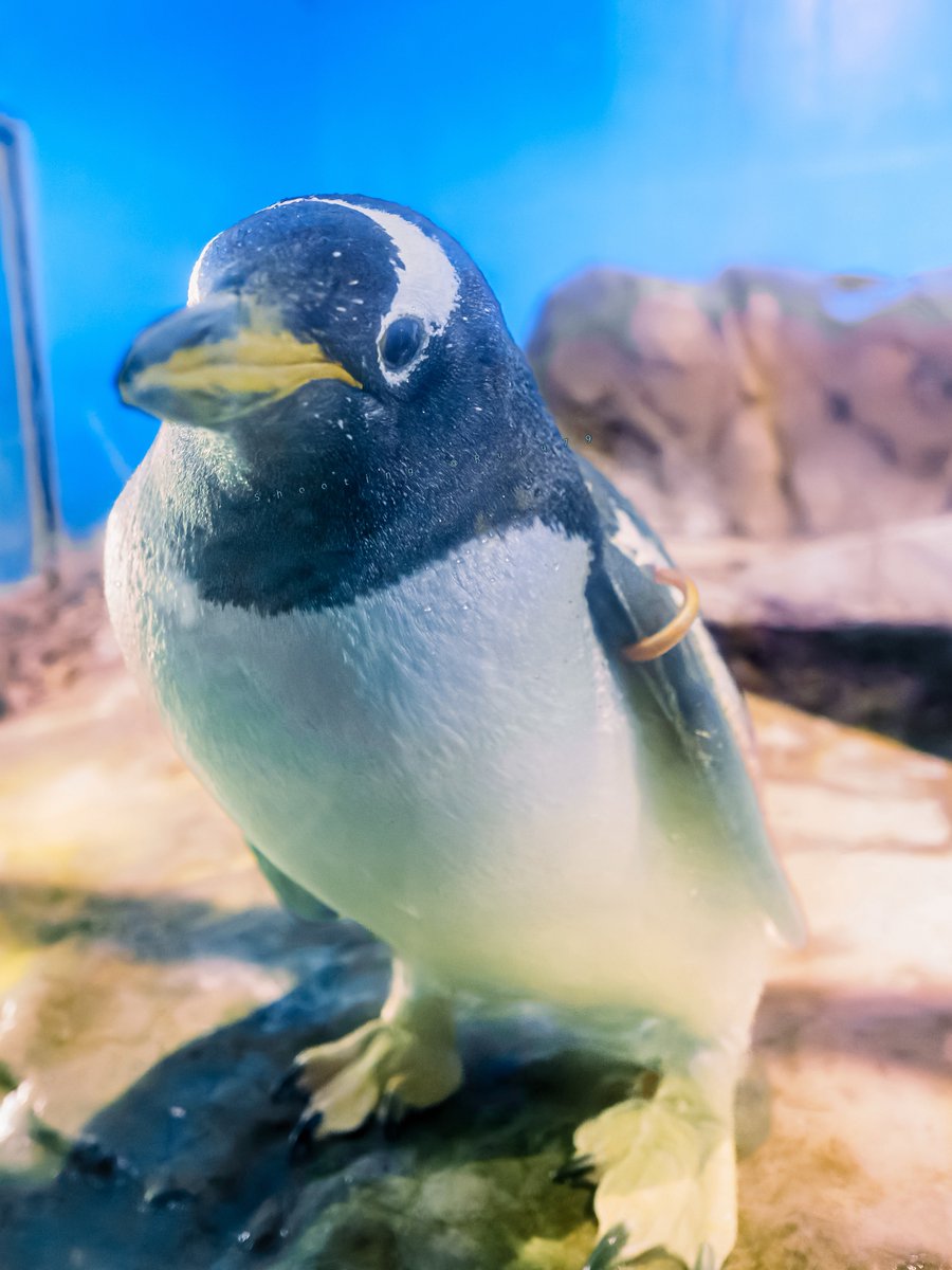 るるなっく (@ruru79) / Posts / X