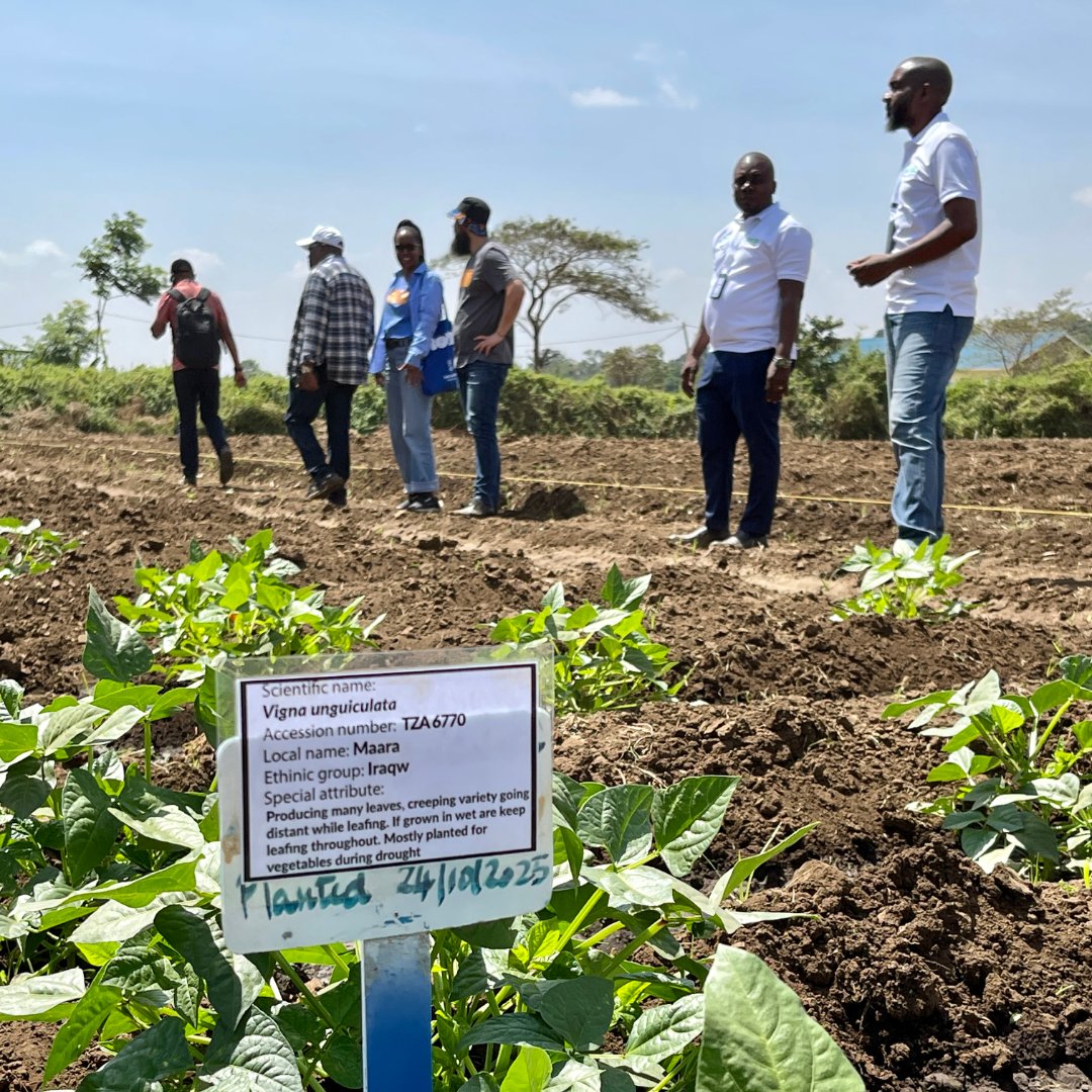 The Crop Trust tweet media