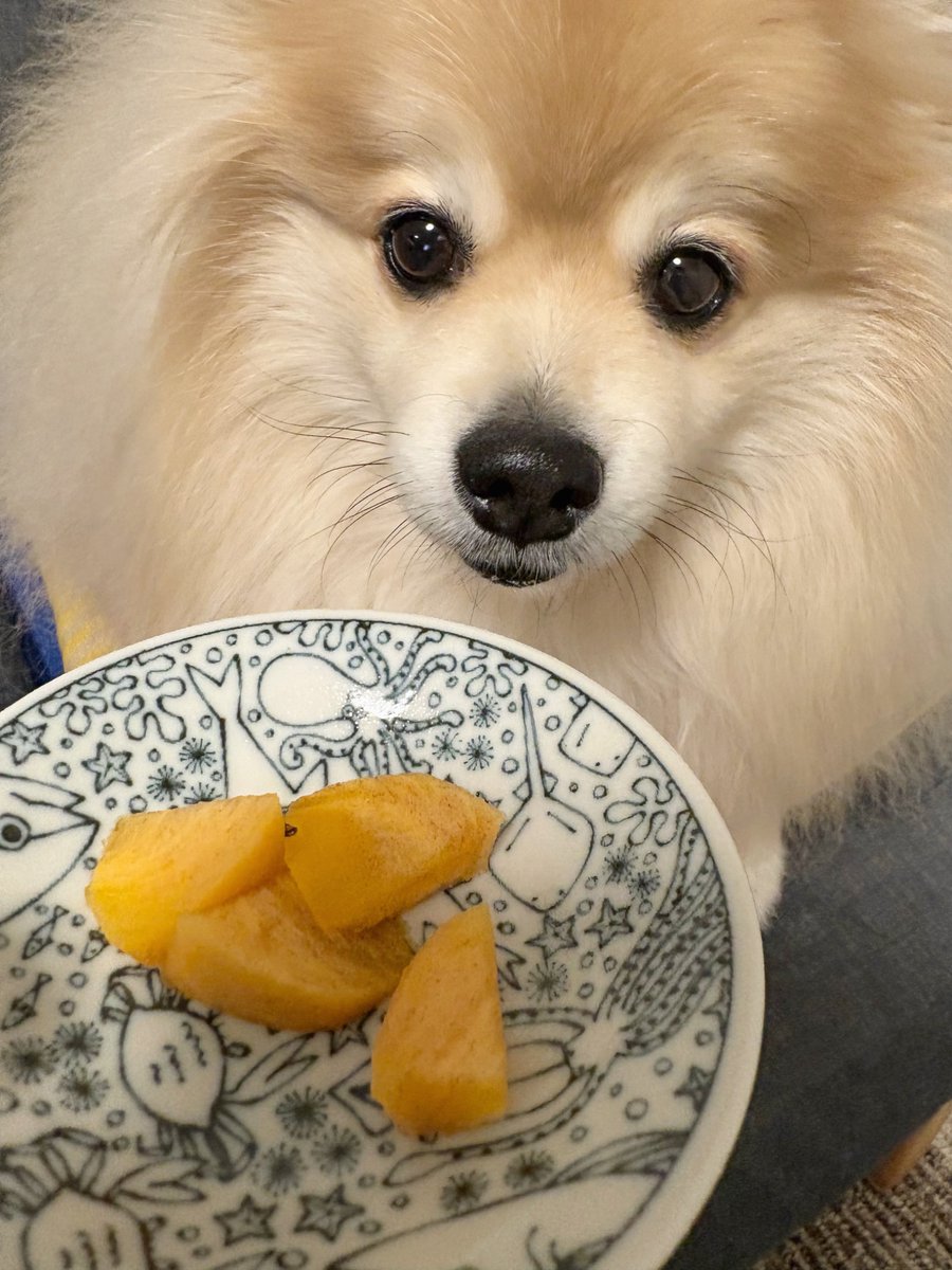 妖(よう) (@snow_white_999) / Posts / X