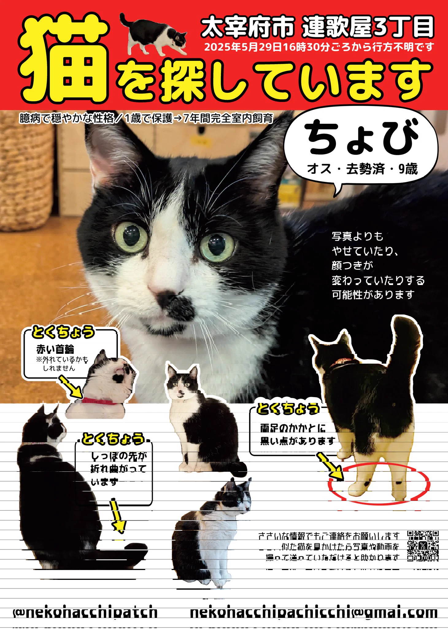 【値下げ中】【匿名配送】ちょびっツ MOケース 猫ちぃ レア G8c3DQ4bYAEEFs6?format=webp&