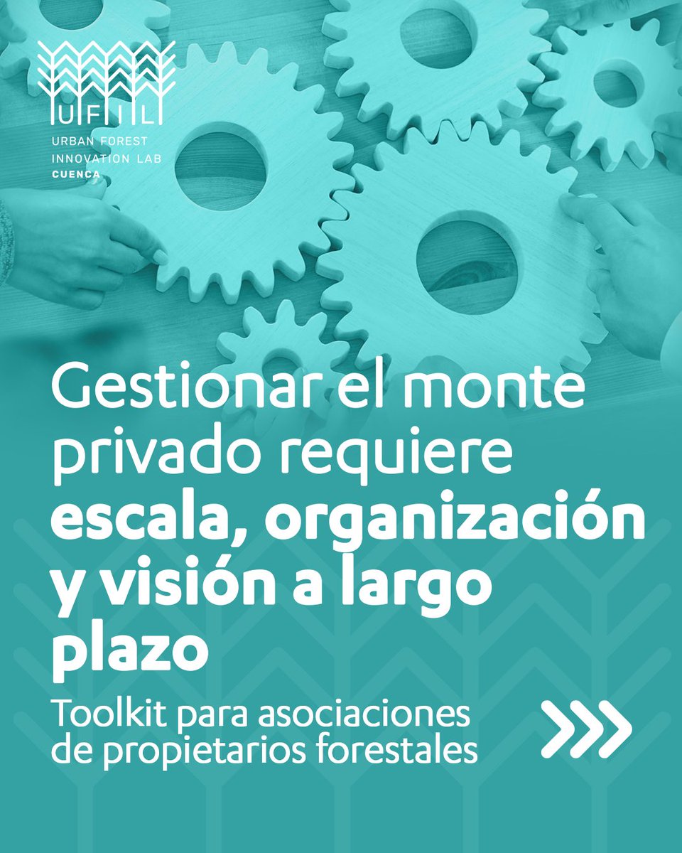 Hemos creado un toolkit práctico pensado para crear y gestionar una asociación de propietarios forestales, basado en experiencias reales del territorio y diseñada para acompañar a quienes quieren implicarse activamente en el futuro de su monte: ufilcuenca.es/toolkit/