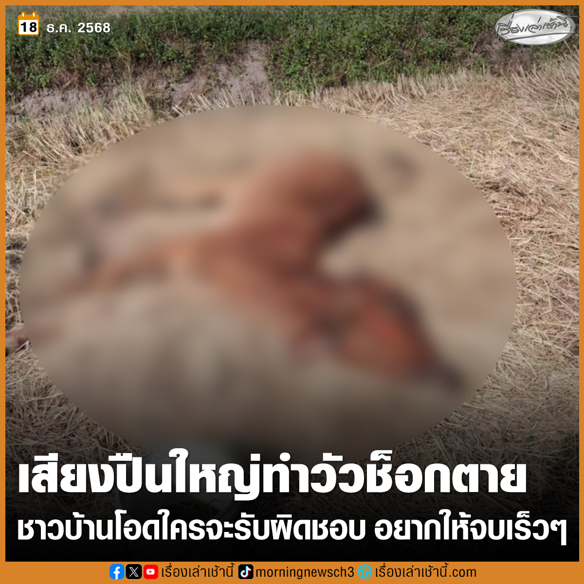 เสียงปืนปะทะกันของทหารสองฝ่าย ทำให้วัว-ควายของชาวบ้านช็อกตายแล้ว 6 ตัว ชาวบ้านระบุเป็นเพราะยิงกันตลอดเวลา อยากให้จบ-ไม่อยากให้ประเทศที่ 3 เข้ามายุ่งเกี่ยว

อ่านข่าว : ch3plus.com/news/social/mo…

#เรื่องเล่าเช้านี้ #ข่าวช่อง3 #ข่าวภูมิภาค #บุรีรัมย์ #ไทยกัมพูชา