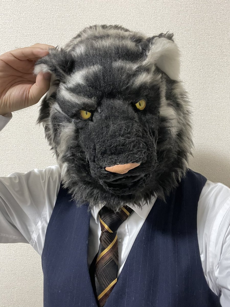 でし(deci)🦈 (@FKFK_shark) / Posts / X