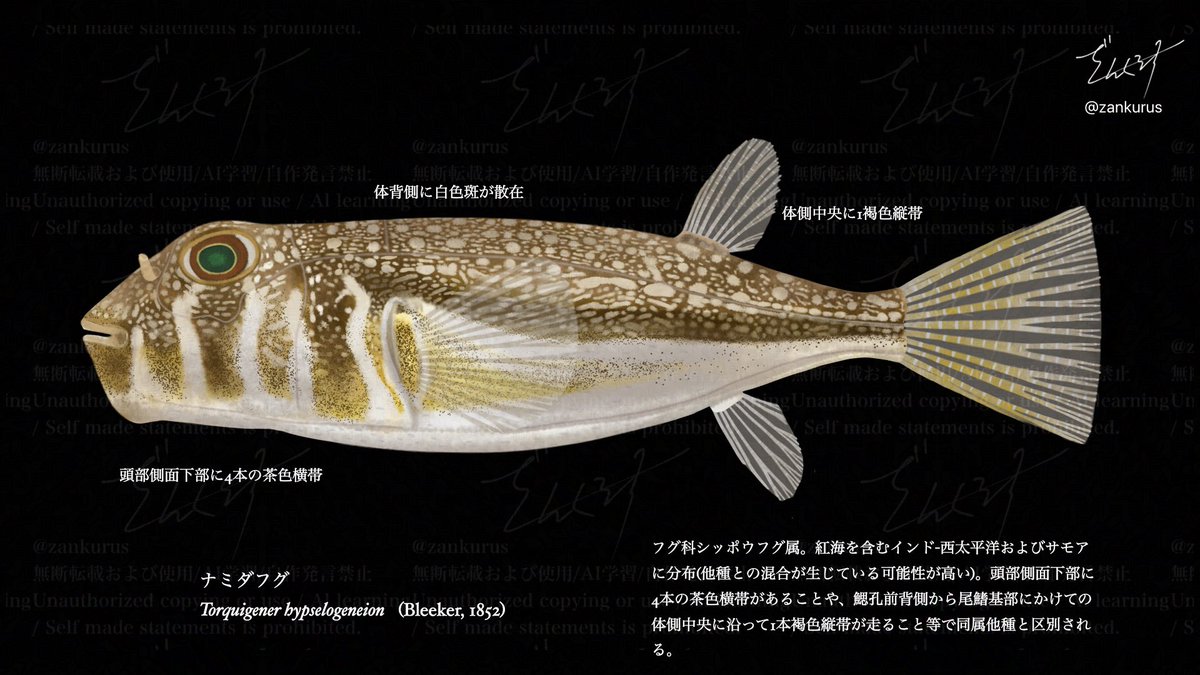 南瓜ドルチェ (@82dopi24eita1) / Posts and Replies / X