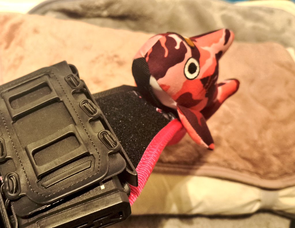 スラッシュリグに サメちゃん乗せられるの可愛すぎる #Cloud9