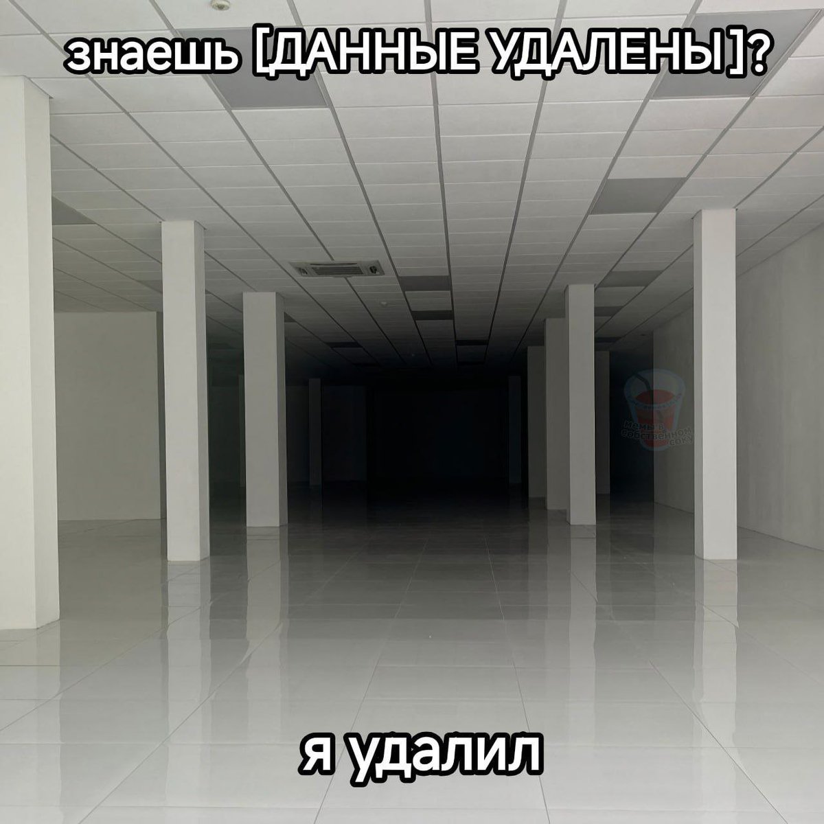 она же лес (@iam_theforest) on Twitter photo 