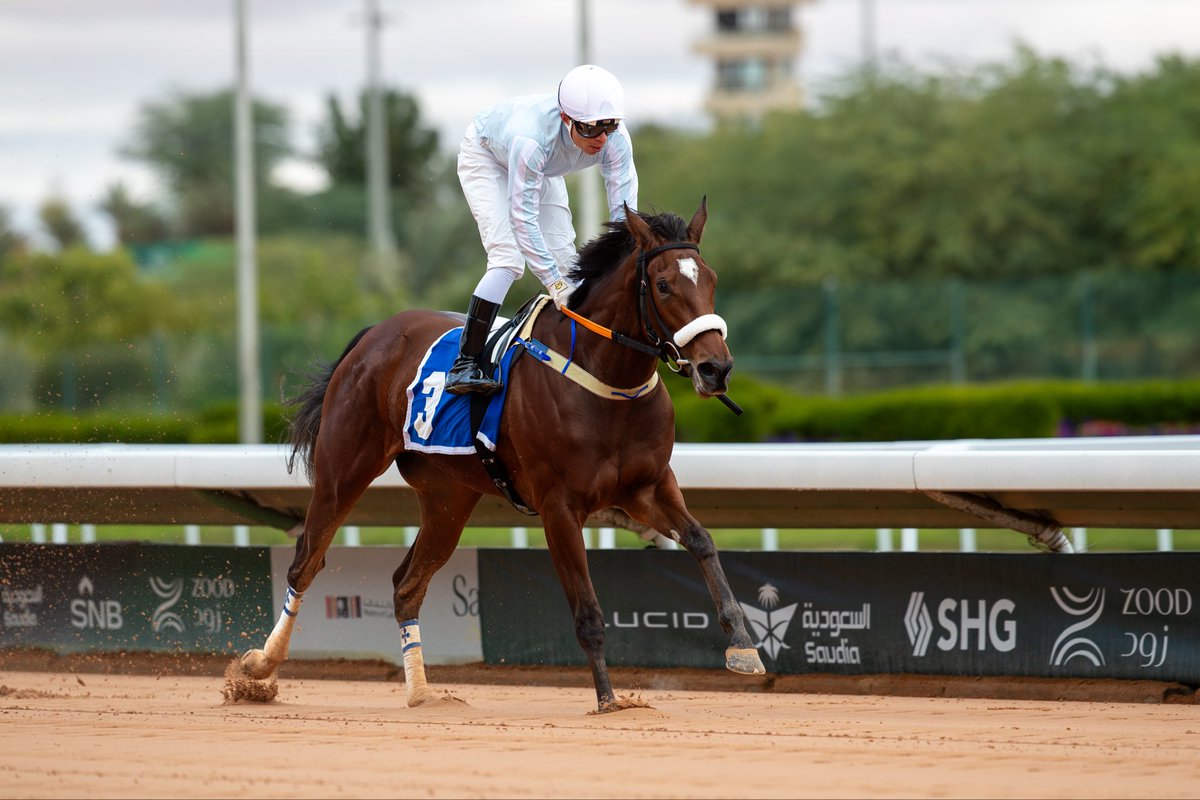 نادي سباقات الخيل tweet media