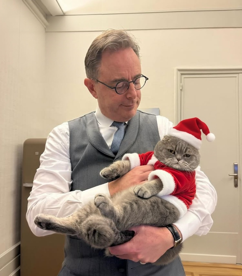 Maximus Textoris Pulcher tweet media