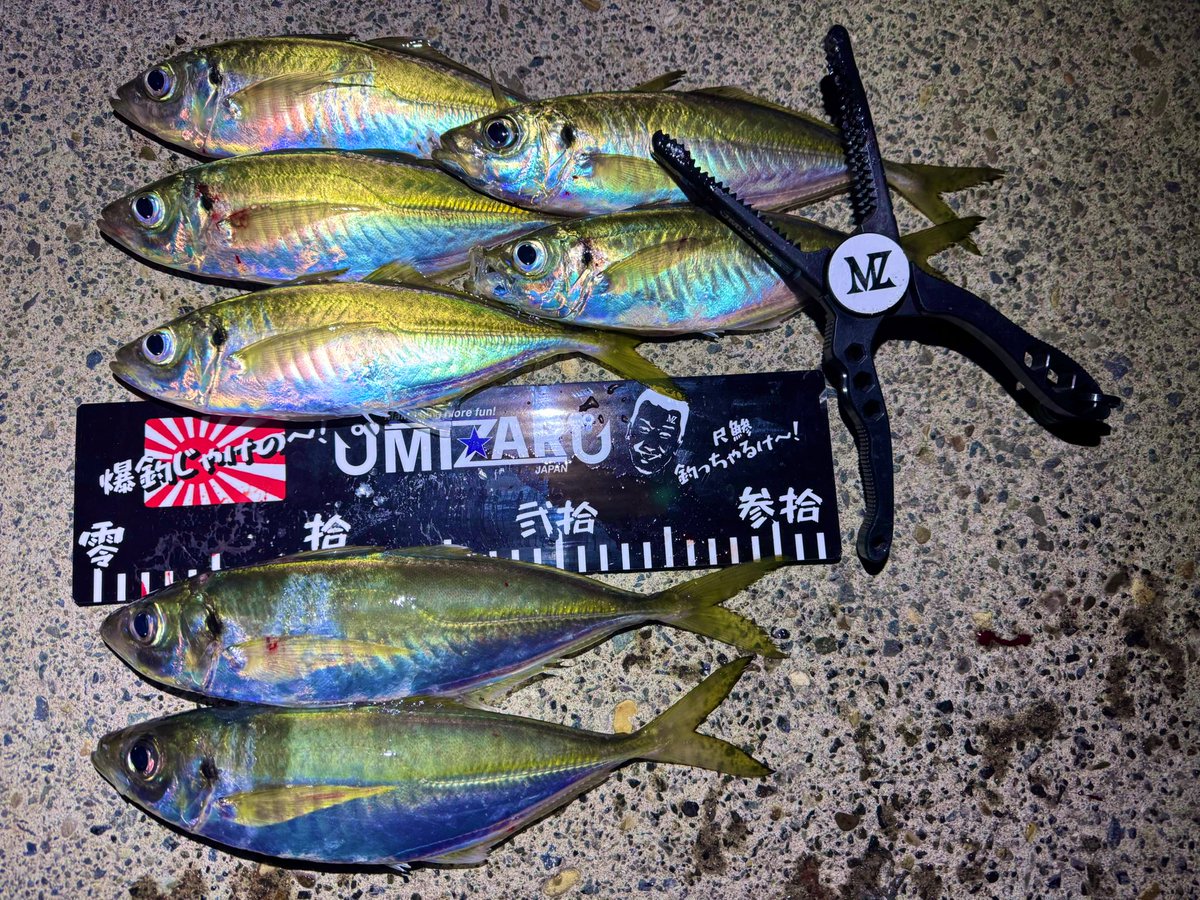 𓆜𓆝ジャスミン03 𓆞𓆟 (@Jasmine0_3) / Posts / X