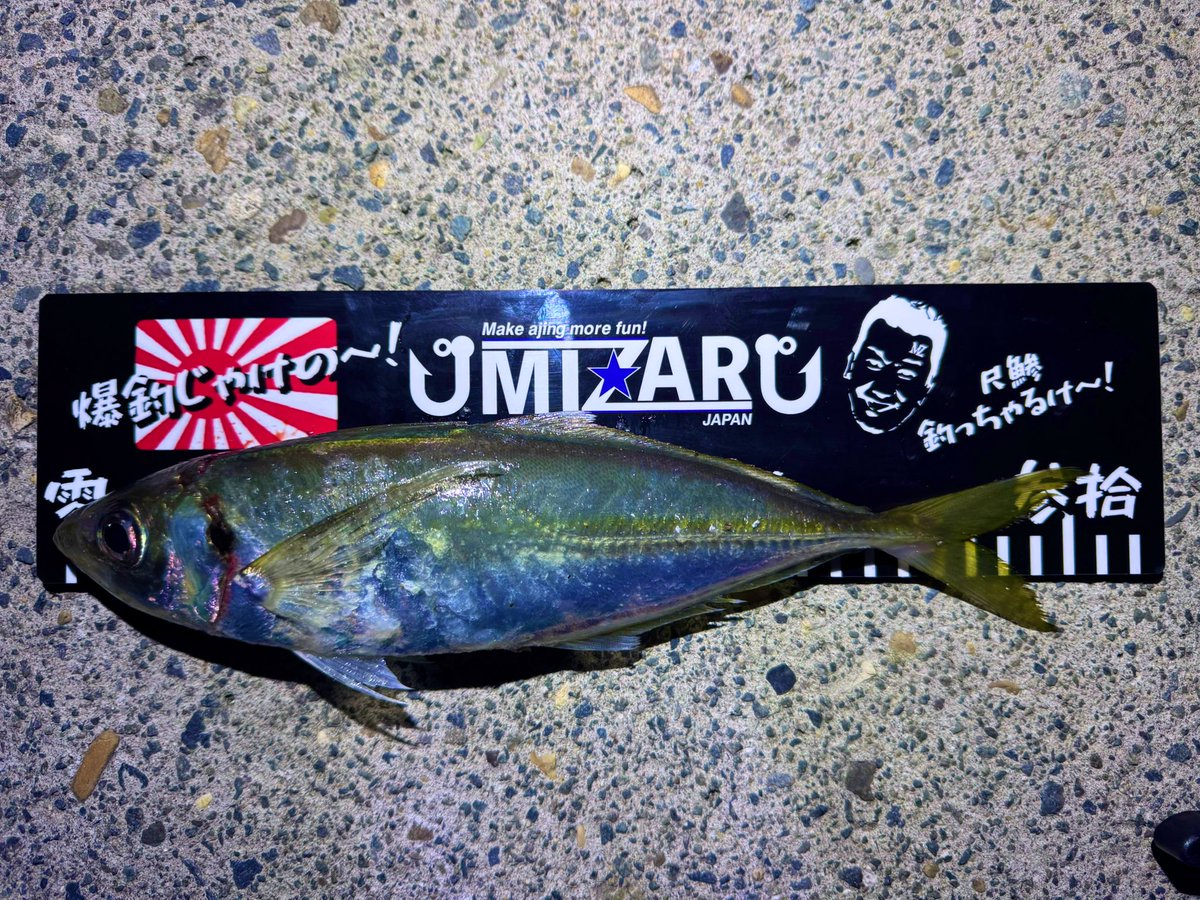 𓆜𓆝ジャスミン03 𓆞𓆟 (@Jasmine0_3) / Posts / X