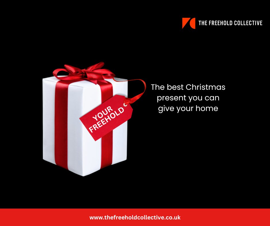 The Freehold Collective (@freeholdthe) on Twitter photo 