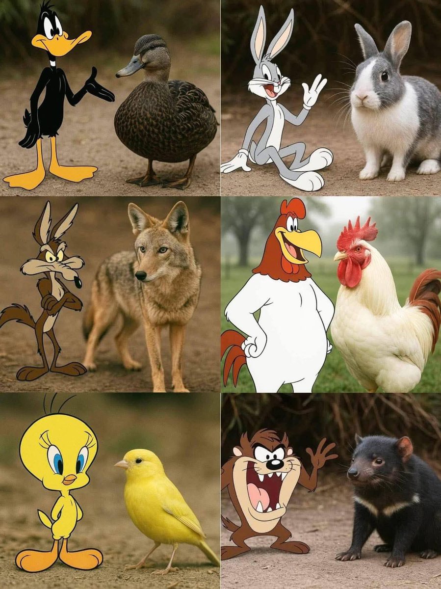 RincnCuriosoo's tweet photo. Personajes de nuestra infancia/ En la vida real https://t.co/bieJKu848G
