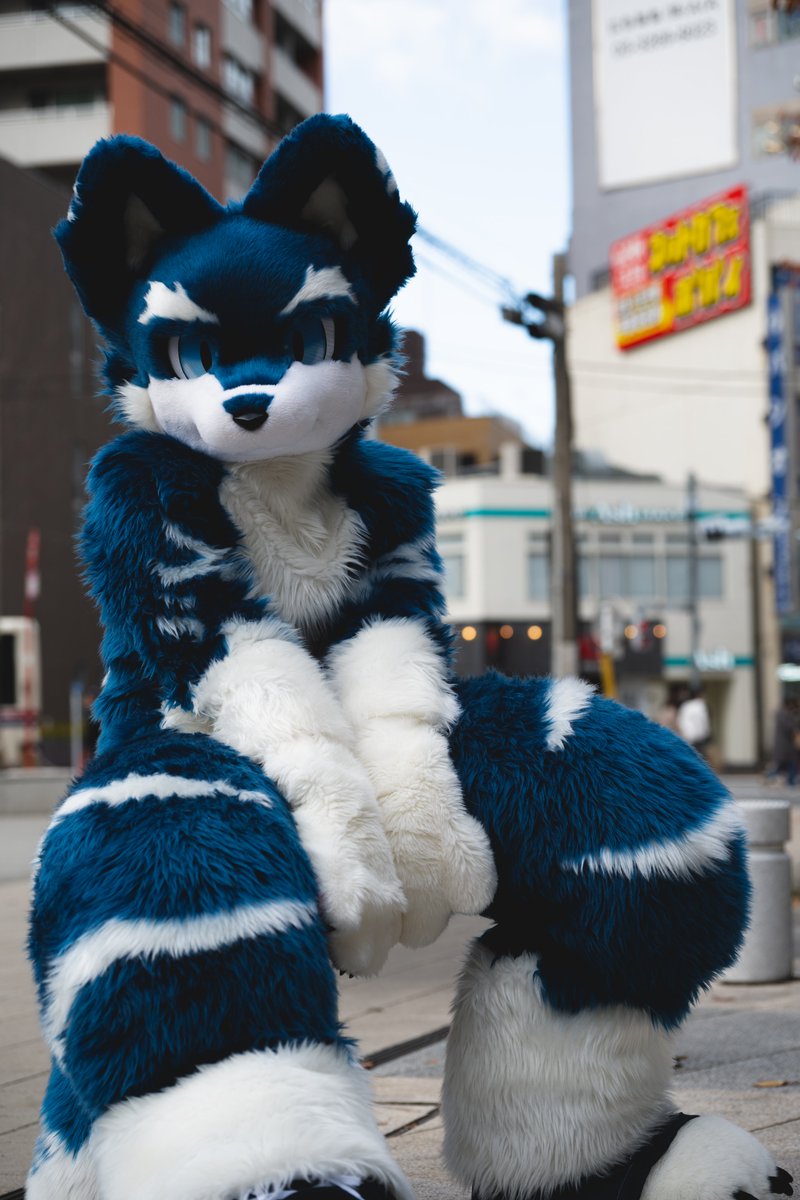 chan_kino_xxx's tweet photo. #FursuitFriday 
📸@sora_aksr https://t.co/dMWE71rsW5