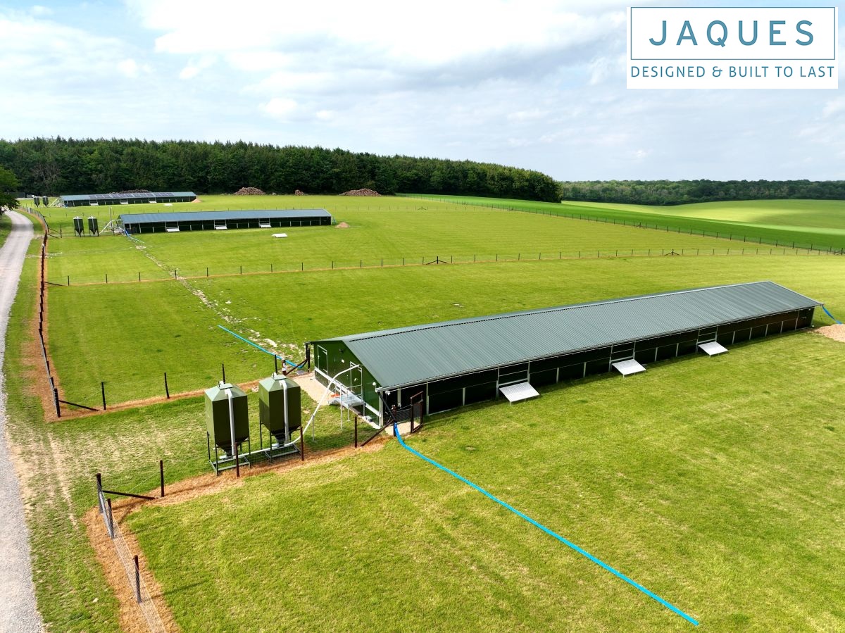 Jaques Int Ltd tweet media