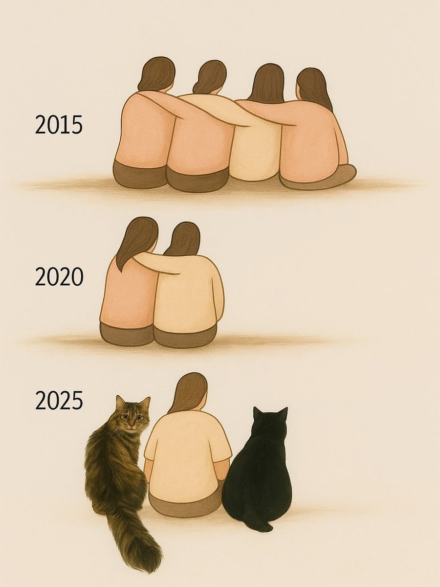 We don't deserve cats 😺 (@catsareblessing) on Twitter photo 