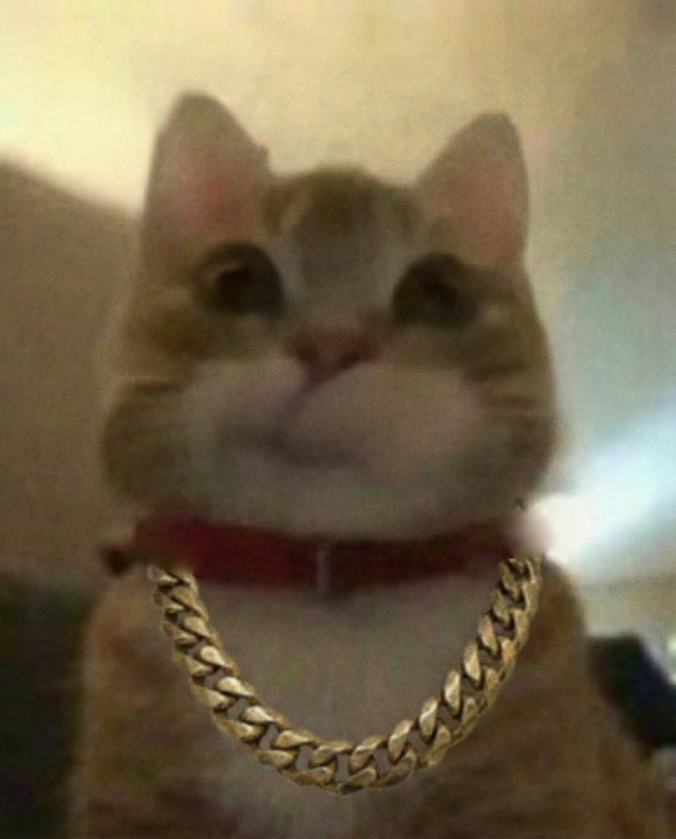 The meme is funny😼😼😼😼😼

$jeff

x.com/dweopifgdh/sta…