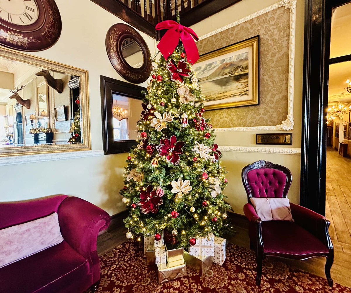 Lake Hotel tweet media