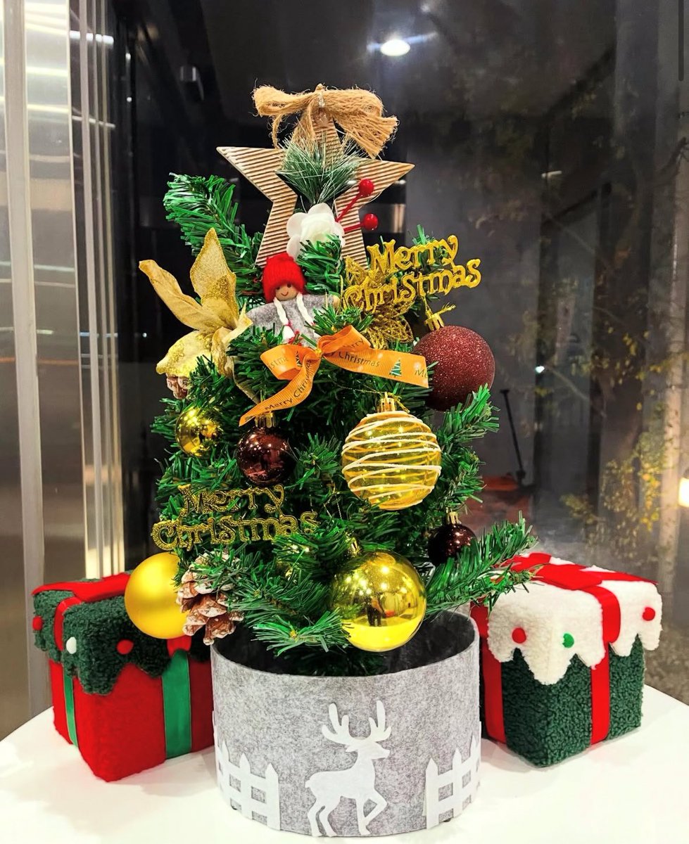 プラネアール STAFF tweet media
