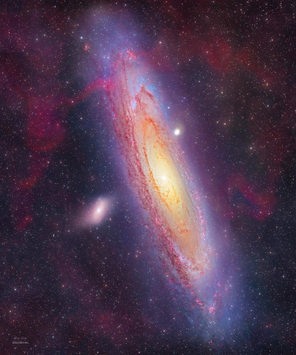 𝗔𝗻𝗱𝗿𝗼𝗺𝗲𝗱𝗮 𝗴𝗮𝗹𝗮𝘅𝘆 +𝟭𝟯𝟭𝗵 🔭🔭

📷 <a href="/astrocatinfo/">Aleix Roig</a>