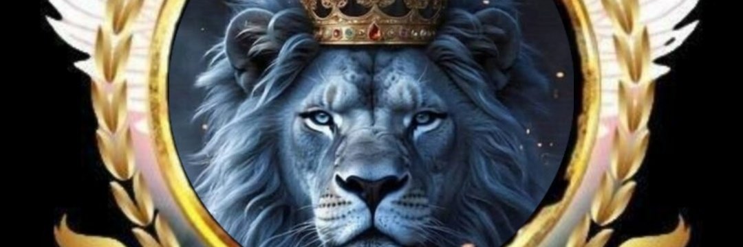 النجوم الھیفاء tweet media