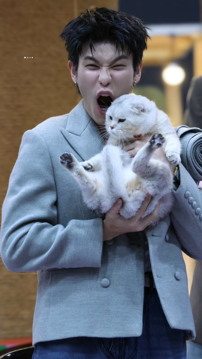 ช่วยไลก้าด้วย

OUROAD THE MALL PETFEST
#DaouOffroadAtPetFest2025 
#offroadKTP #ออฟโรด