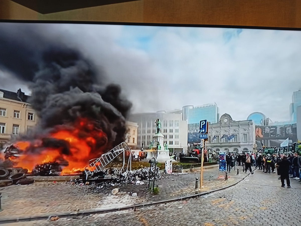 Minimales Feuer 🤔