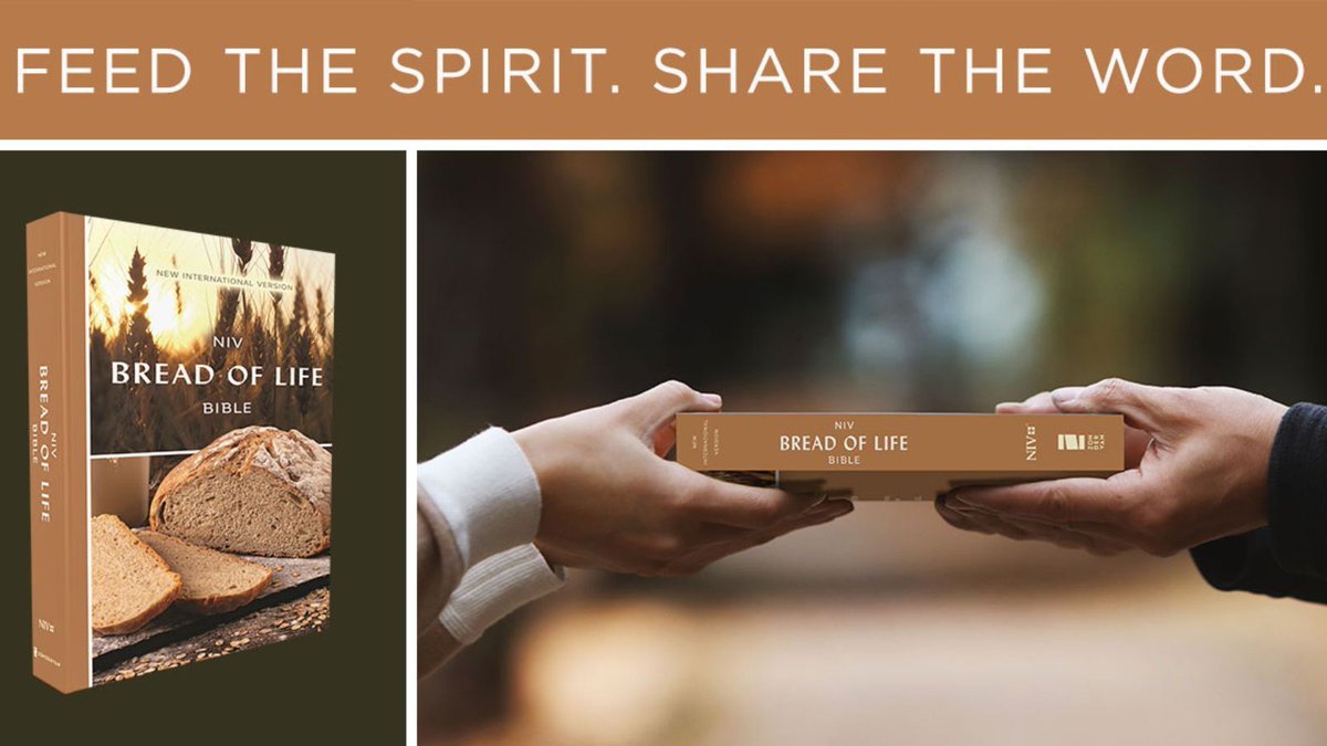 Looking for a meaningful way to share God’s Word this Christmas? This low-cost Bible is perfect for churches, food pantries, ministries, and individuals eager to bring spiritual light to those around them.

Ideal for first-time Bible readers, this Bible is a powerful witness tool
