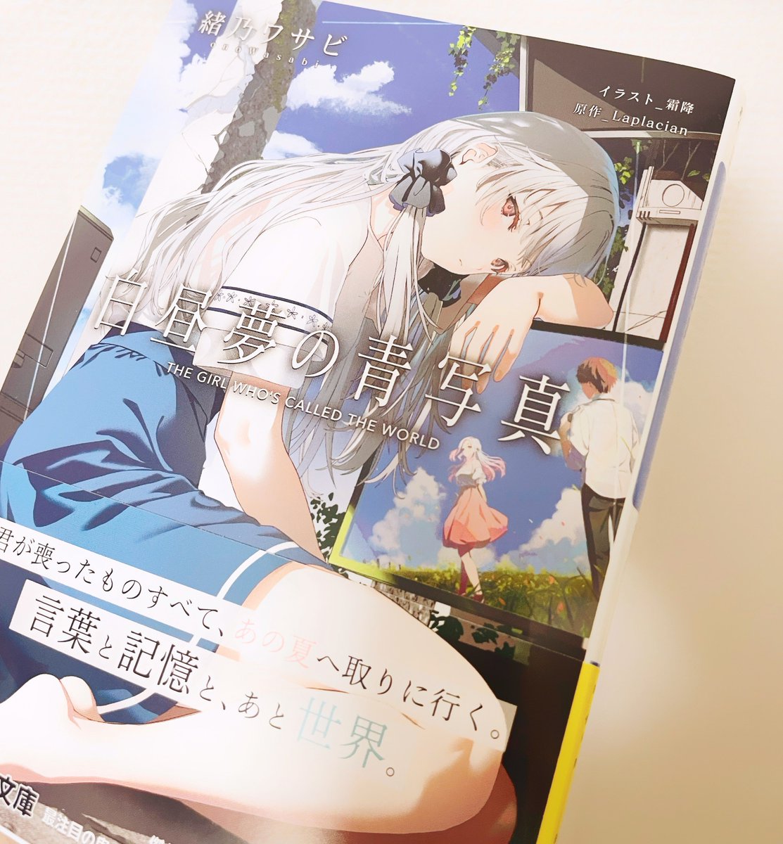 白昼夢の青写真の小説買えたぜ!! 世凪ｨ〜!!