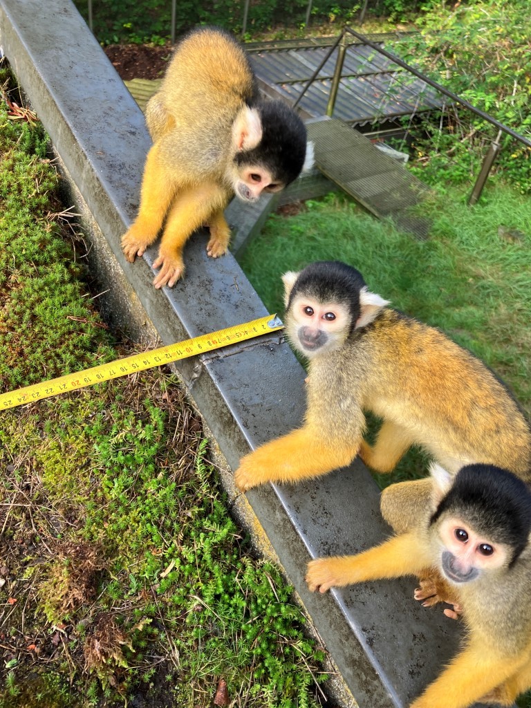 Van Venrooy tweet media