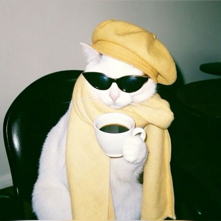 𝔍𝔬𝔬𝔧𝔢 𝔱𝔞𝔩𝔞𝔢𝔦🐣 tweet media