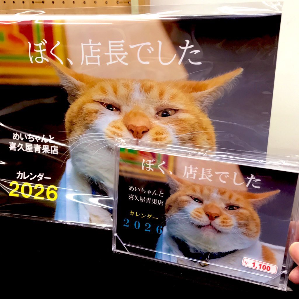 YokohamaCats16 さんのめいちゃんカレンダーの販売は年内で終了となり