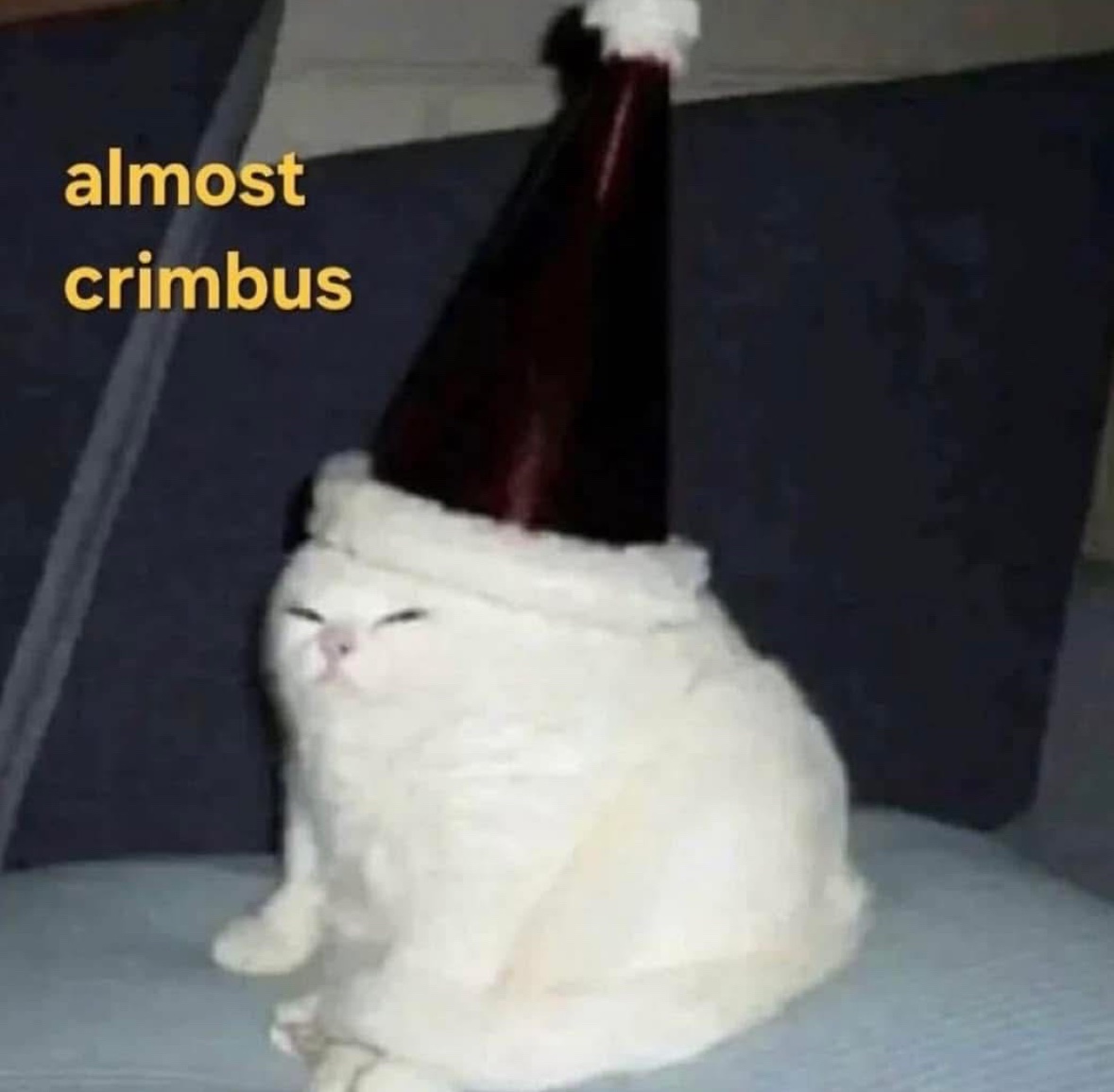 Respectful Memes (@respectfulmemes) on Twitter photo 