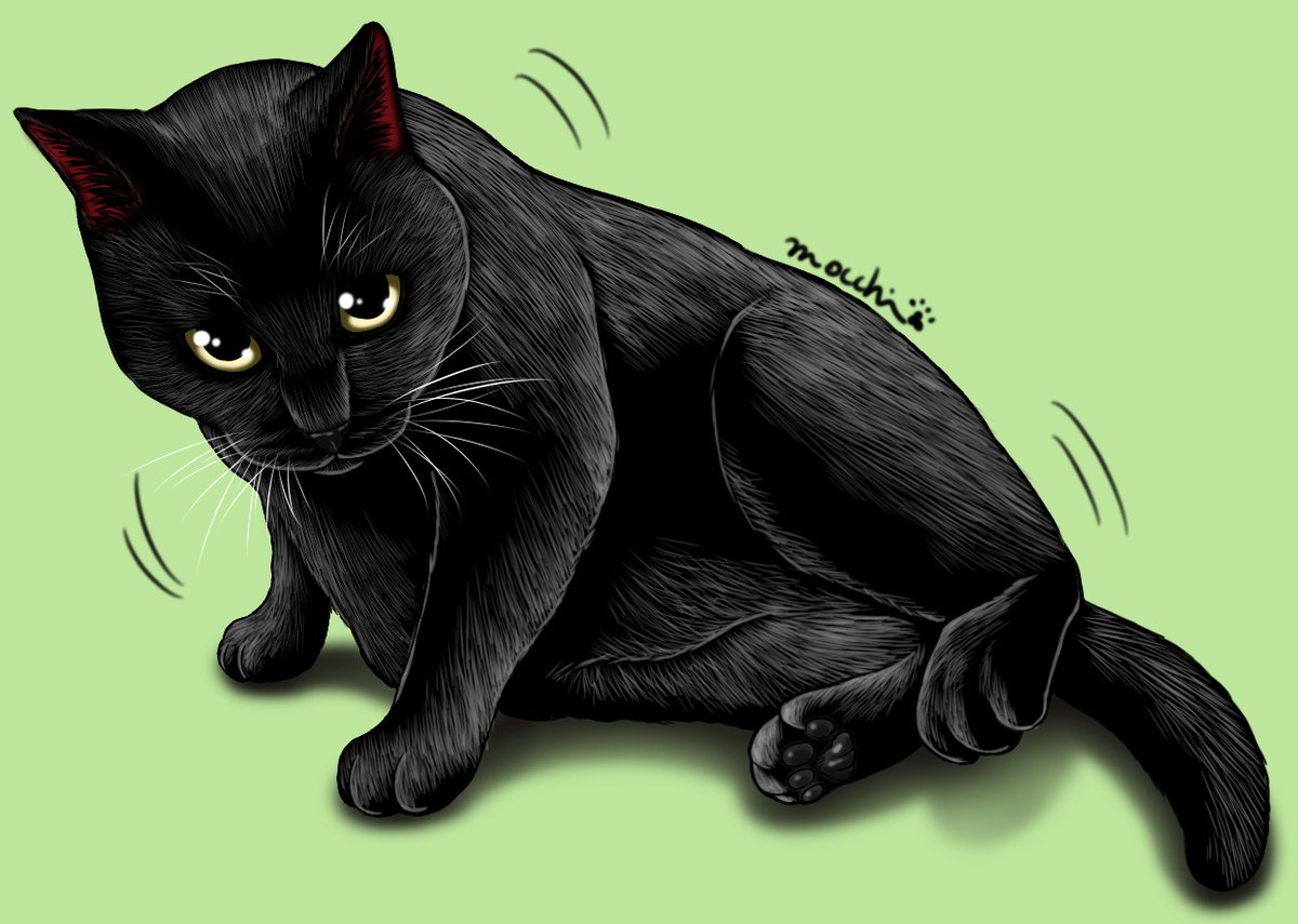 もっち様確認 自分のも見たけどモチュールAUTECHの方が発送準備中になってた 自転車