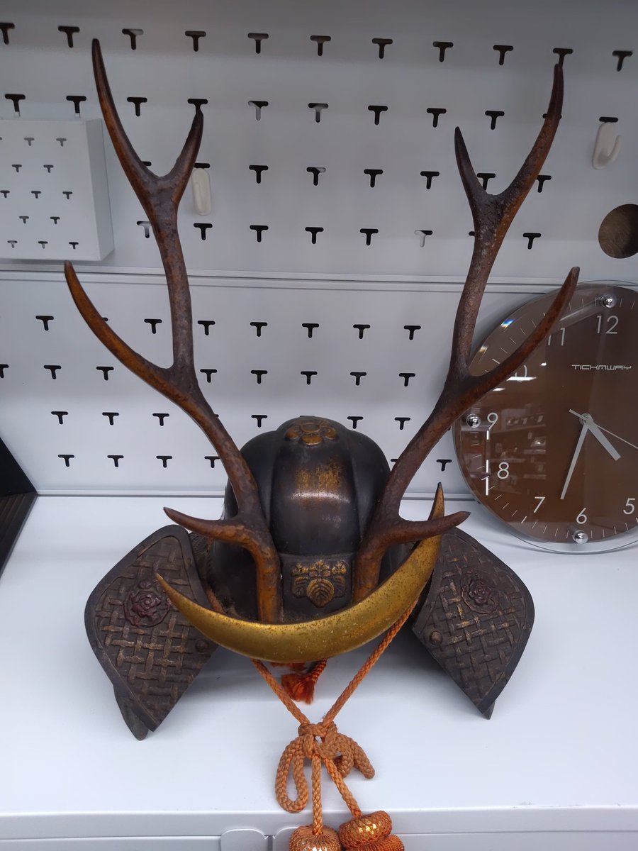 見てください‼️この立派なツノ 鹿はツノの大きさで他の鹿と競うそう