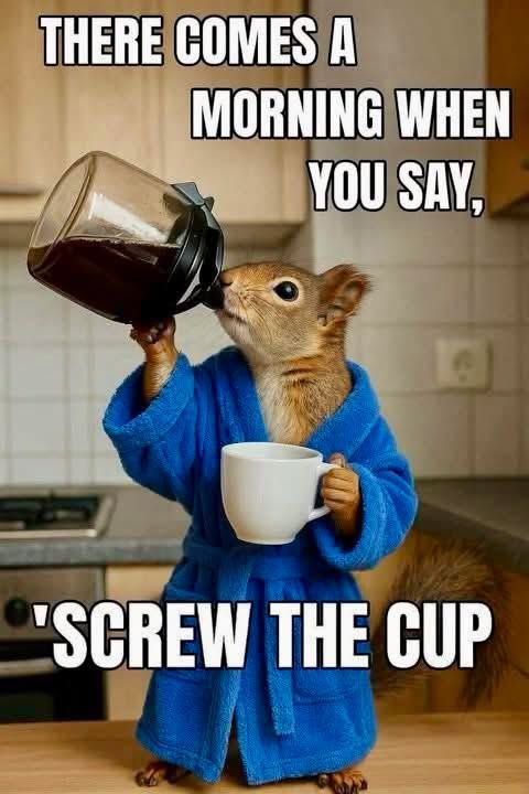 Good morning and happy Friday Eve! Hope everyone has a good day! 🇺🇸🎄 https://t.co/5W5RBdsee7