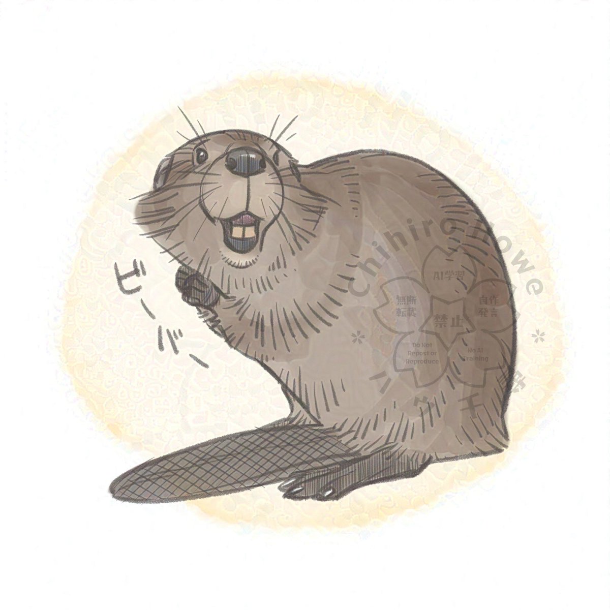 正しいビーバー うちの州の動物がビーバーなので馴染み深い動物です