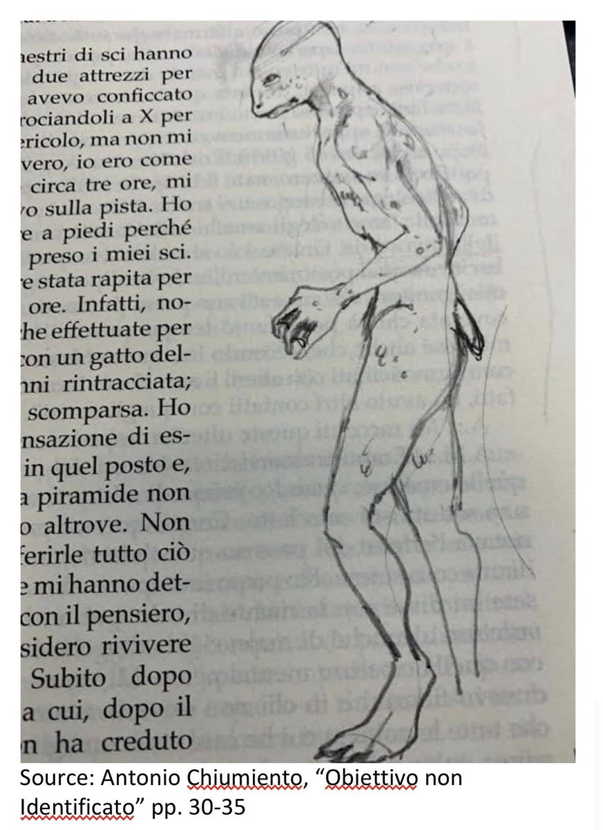 UFO and Humanoids, Swiss Alps, 1977🧐🤔👽👽👽👽👽👽👽👽👽👽👽👽👽👽
SUMMARY
In 1977, 15-year-old girl had a close encounter with a triangular, pyramid-shaped UFO in the Swiss Alps. She experienced fatigue and saw three reptilian humanoid beings. They took her inside, where she