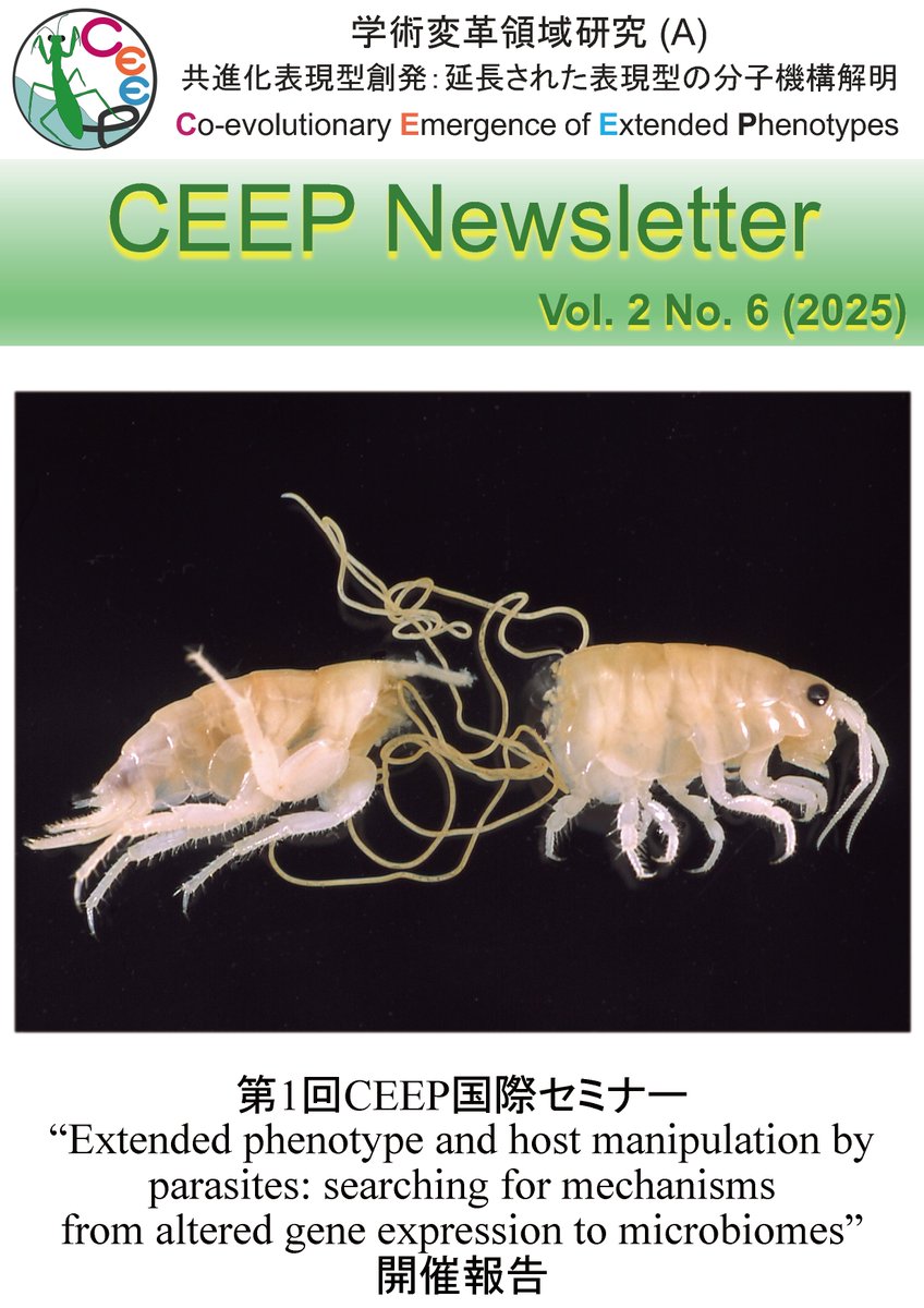 ニュースレターVo.2 No.6「第1回CEEP国際セミナー開催報告」、No.7