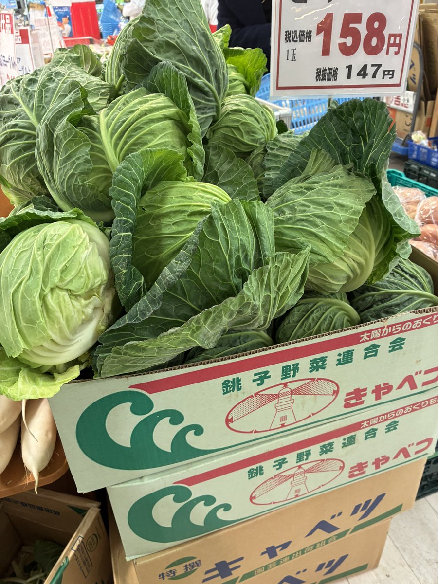 こんな野菜もいろいろ