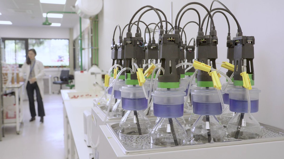 IATA CSIC tweet media