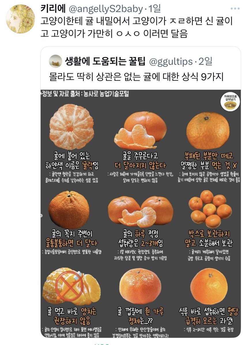 KnowTwo_2's tweet image. 귤 당도 아는 법