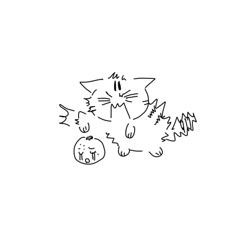 KnowTwo_2's tweet image. 귤 당도 아는 법