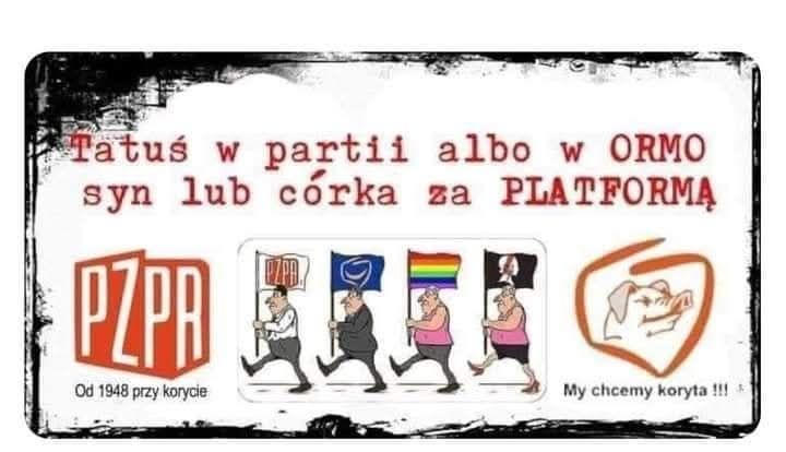 Tadeusz (@tadeusz46071539) on Twitter photo 