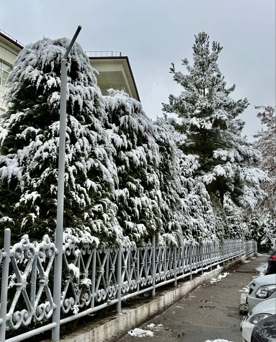 Первый-второй снег.