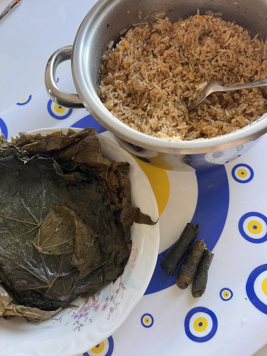 Kadınlar bilir ki; yaprakla içinin bitişini aynı ana denk getirmek zordur. Ya yaprak fazla kalır yada içi… Sonra yeniden iç yaparsın bu sefer o fazla kalır… Ve bu döngü böyle devam eder gider 😂 
#perşembe #sondakika #danlabilic #şeyma #aleyna #elarümeysa #uyuşturucu