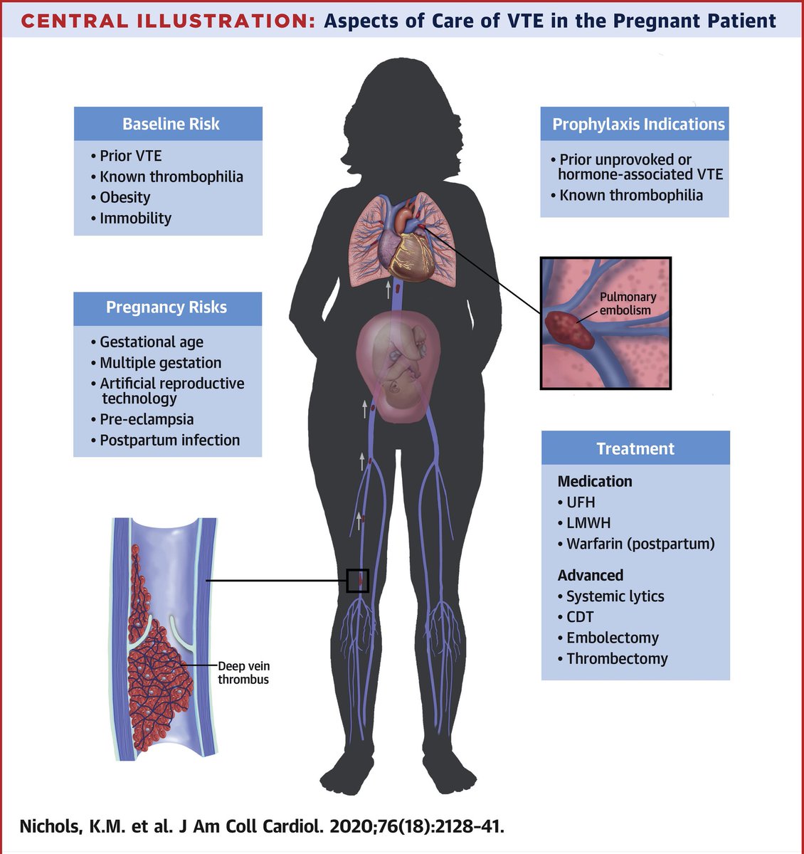 CardiovascularCorner tweet media