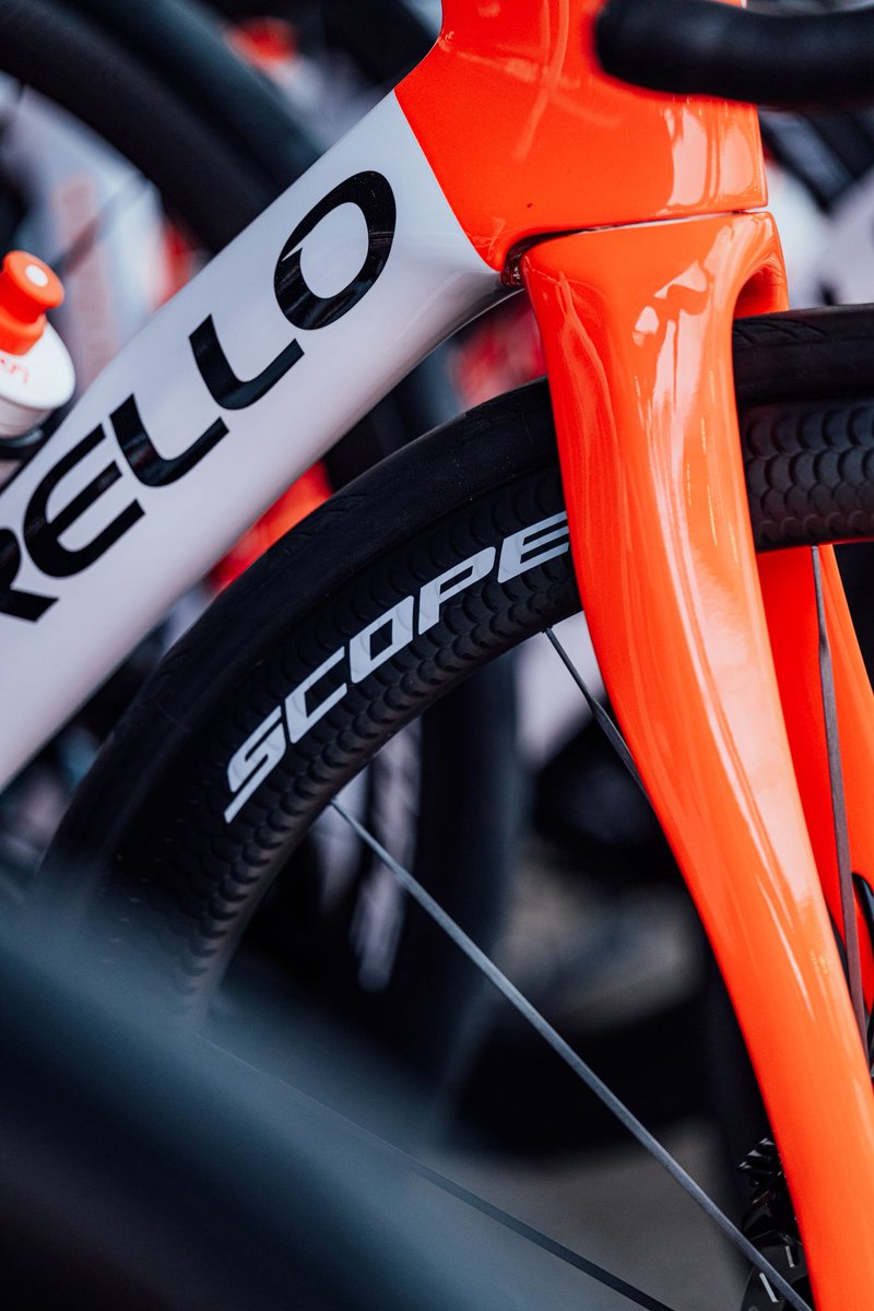 カピバラ (@CapybaraLIZED) / Posts / X