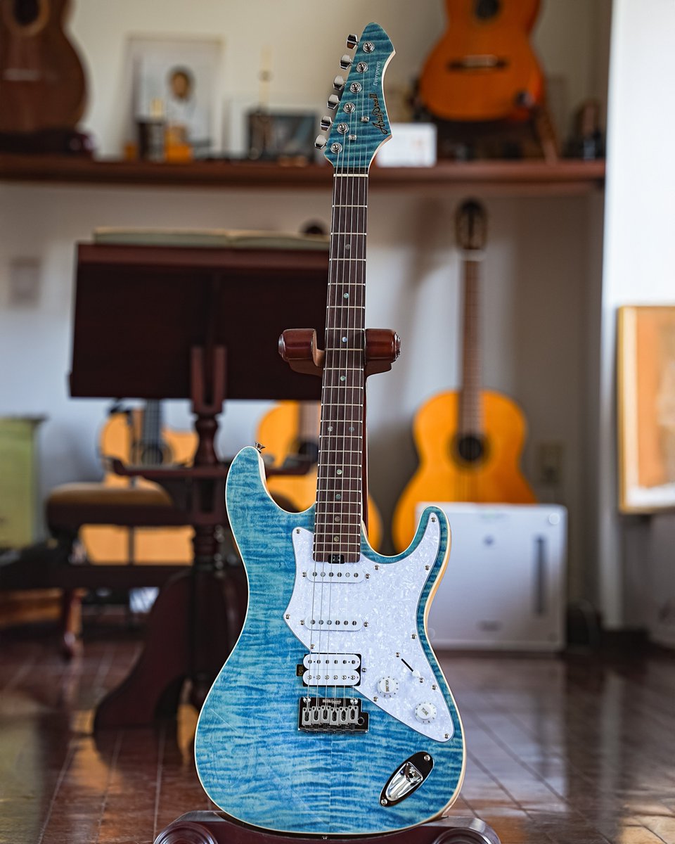 AriaProii XP-9 海外専用品、改　交渉可能 Aria Guitars (@ARIA_GUITAR) / Posts / X