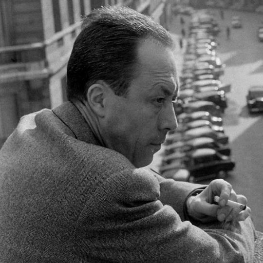 « Parfois, continuer, simplement continuer, est un exploit surhumain. »
— Albert Camus