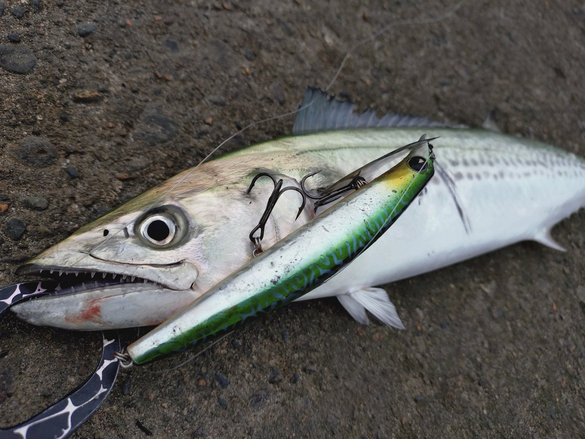 ima (@ima_ams) / Posts / X